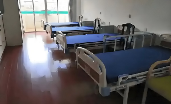 命定：你是我的猪婆